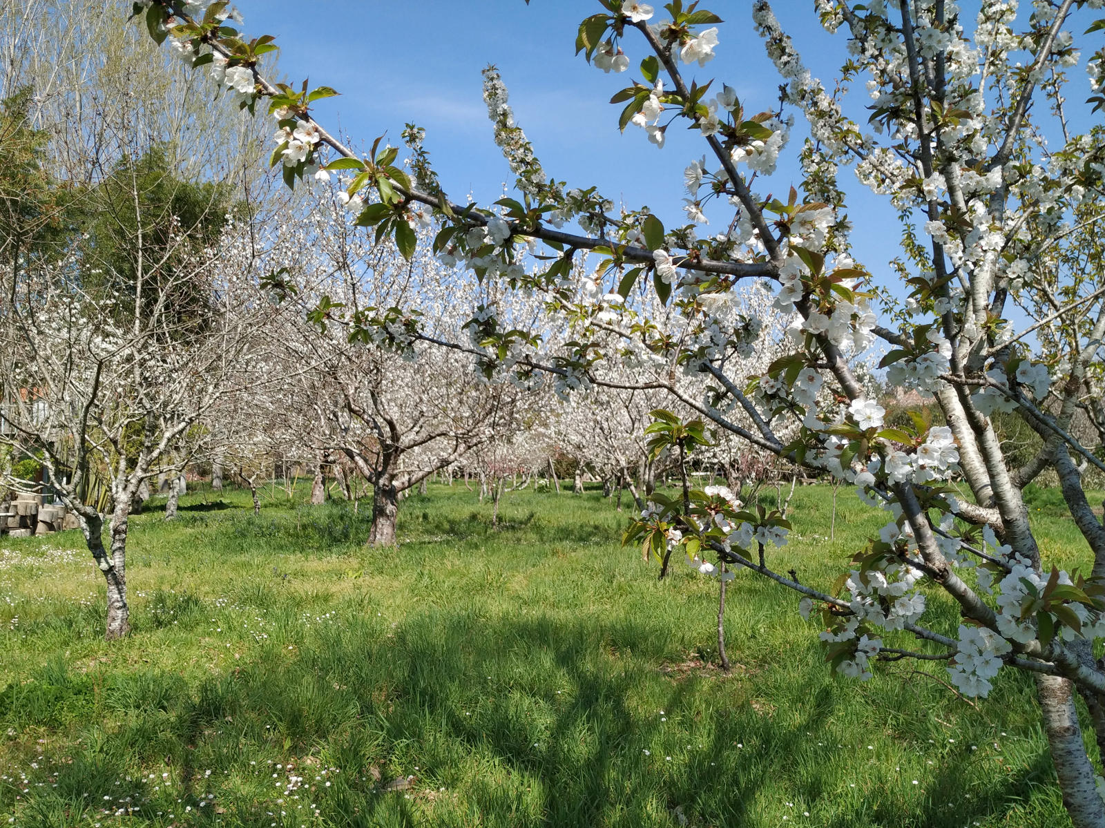Áreas de Formación
