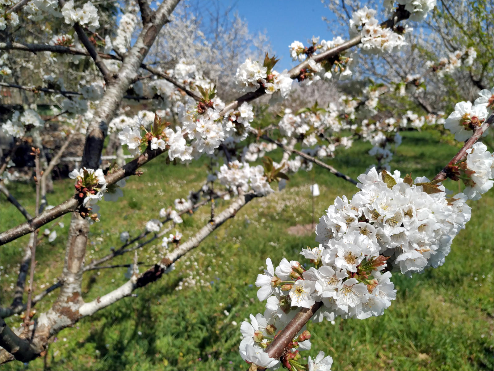 Áreas de Formación