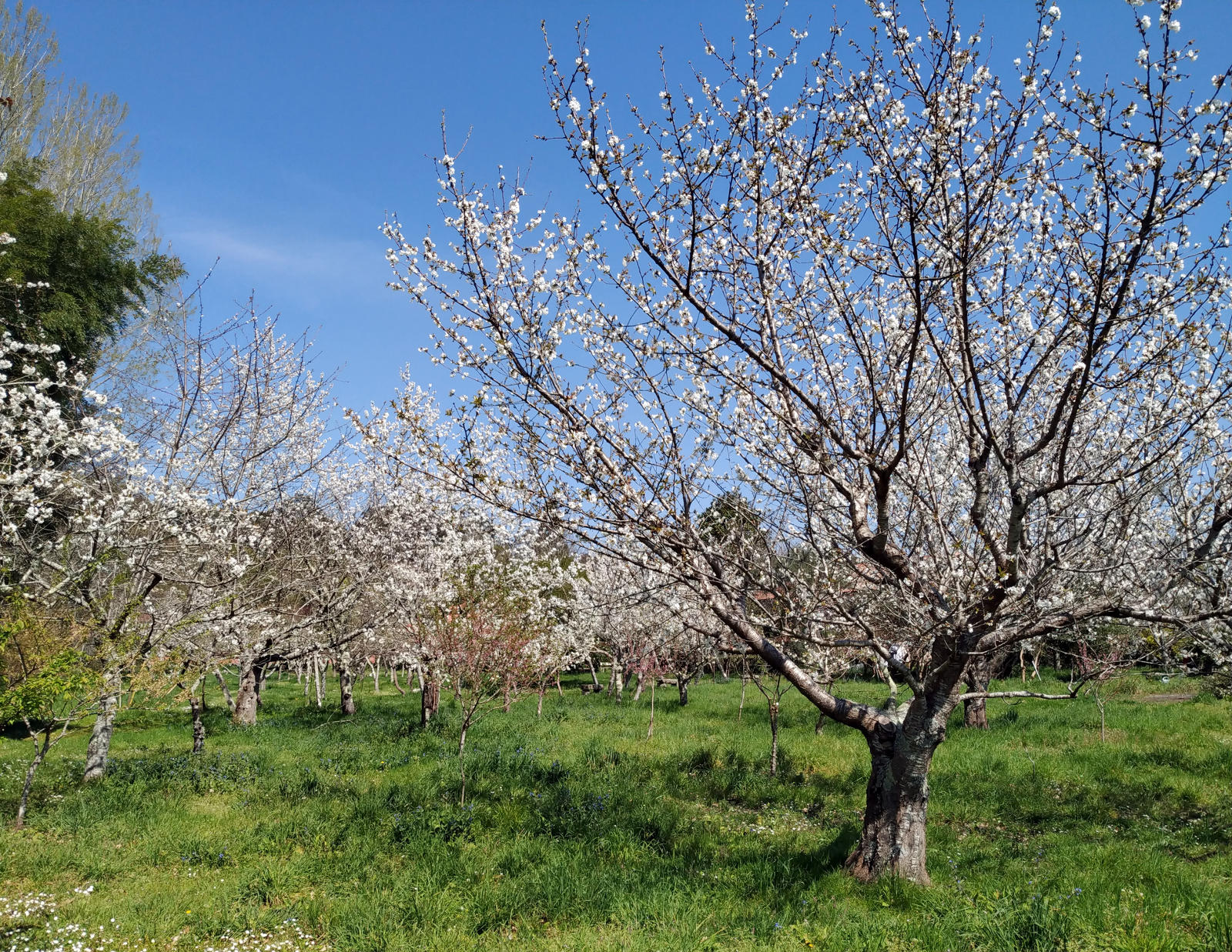 Áreas de Formación