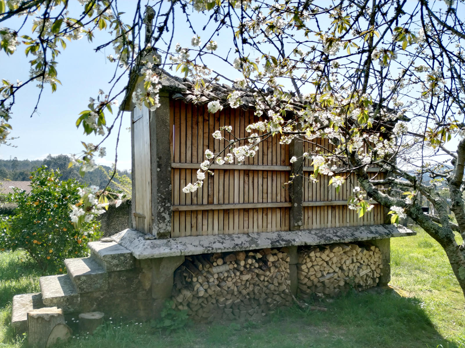 Áreas de Formación