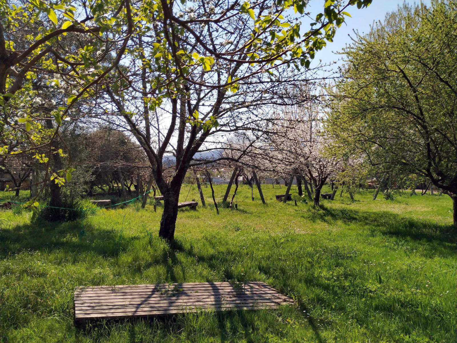 Áreas de Formación