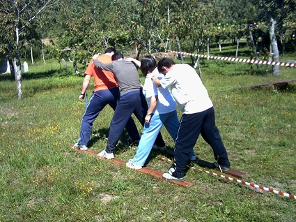 Áreas de Formación