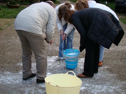 Áreas de Formación