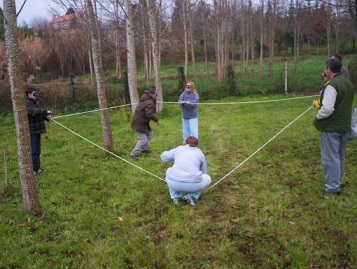 Áreas de Formación